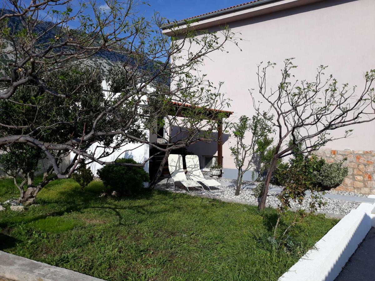 Villa Mihaela - Apartment Ana Cesarica Bagian luar foto